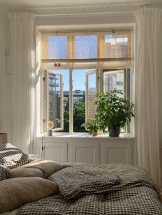 a bed sitting under a window next to a potted plant