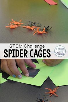 Spider Room Transformation, Fall Stem Projects, Halloween Steam Activities Elementary, October Stem Activities Elementary, October Stem Activities, Facts About Insects, Stem Engineering Activities, Storybook Stem, Steam Activities Elementary