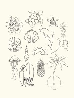 a drawing of different types of sea animals and seashells on a white background