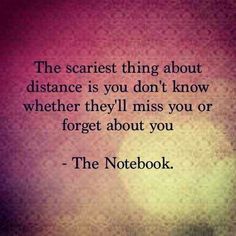 a quote from the notebook about distance