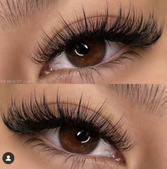 Hybrid Lash Extensions Styles, Wispy Hybrid Lash Extensions, Wispy Eyelash Extensions, Fake Eyelashes Makeup, Tattoo Artist Tattoo, Snake Tattoos