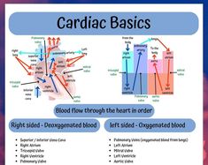 the diagram shows how blood flow through the heart in order to help it heals