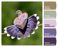 a bird sitting on top of a branch with color swatches in front of it