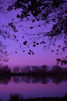 a purple sky is reflected in the water