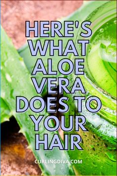 Aloe Vera Gel For Hair Growth, Aloe Vera Benefits, Scalp Problems, Blonde Bob Haircut, Haircut Blonde