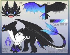 some type of dragon with different wings and colors