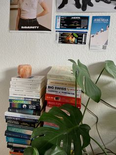 there are many books on the shelf next to each other and a potted plant