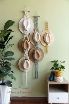 hats are hanging on the wall near a potted plant