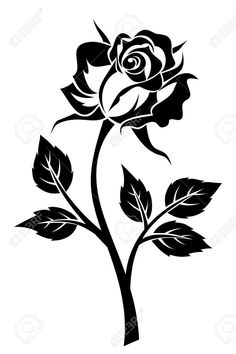 a single red rose with green leaves on a white background stock photo and royalty illustrations