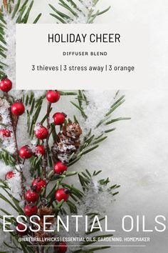 Essential oil diffuser blend using young living oils. Save 24% off Young Living products when you sign up with a membership. Click the link to learn more!   Courtney Hicks | Member #24355928 |  #diffuserblends #youngliving #essentialoils #essentialoilblends #essentialoilreceipes #diffuser #younglivingdiffuserblends #younglivingessentialoils #younglivingoils #younglivingproducts#diffuserreceipe #winter #winterdiffuserblends #seasonaldiffuserblends #holidaydiffuserblends #winterscents #holidayscents Holiday Diffuser Blends, Heath And Wellness, Young Living Products, Fragrance Blends, Essential Oils Young Living, Essential Oil Diffuser Recipes