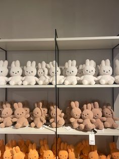 several shelves filled with stuffed animals on top of each other in front of a wall