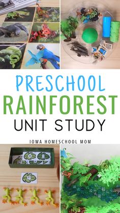 preschool rainforest unit study with pictures and text overlay