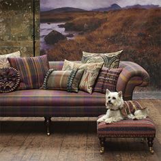 a dog sitting on top of a couch next to a wall with a painting behind it