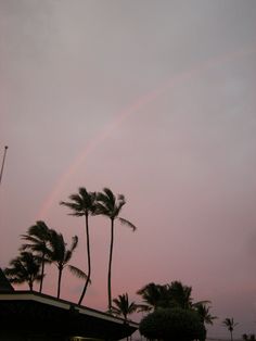 a rainbow in the sky with palm trees