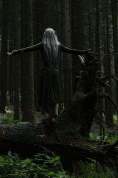 a woman with long white hair is standing on a log in the middle of a forest