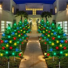 christmas lights decorate trees in front of a building