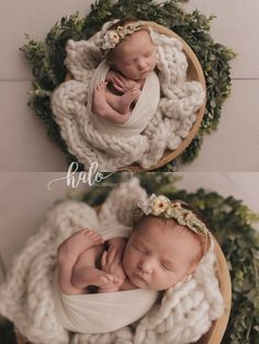 two newborn babies are sleeping in a basket with greenery on the floor and one is holding