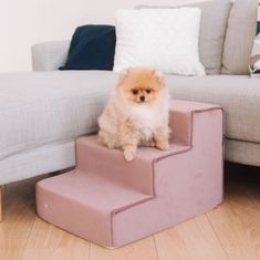 a small dog sitting on top of a pink step stool next to a gray couch