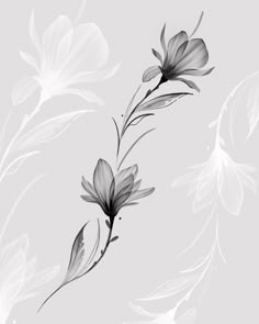 black and white flowers on a gray background