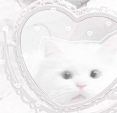 a white cat in a heart shaped frame