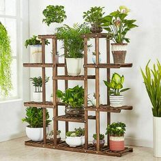 a wooden shelf filled with potted plants next to a window