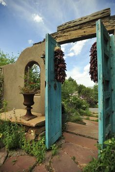 an open door leading into a garden with plants growing out of the doors and potted plant in the doorway