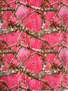 Real Tree Timber Licensed Fabric, Cotton Fabric by Jordan Outdoor Enterprise, Pink Camo, Camouflage Pink Girls Fabric by the Yard, Half Yard - Etsy Pink Camouflage Shoes, Real Tree Wallpaper, Camo Wallpaper Iphone, Pink Camo Wallpaper, Camoflauge Wallpaper, Camo Wallpaper, Real Tree Camouflage, Wake Forest Nc, Graphic Design Images