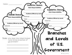 branches and levels of us government worksheet