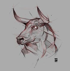 a drawing of a bull's head in red and black ink on a gray background