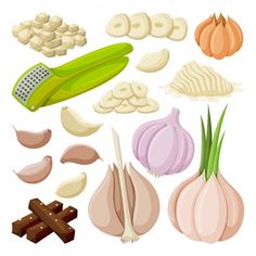 an assortment of different types of food on a white background, including onions and garlic