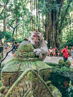 a monkey sitting on top of a stone statue in the middle of a forest filled with people