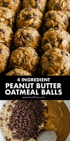 peanut butter oatmeal balls with chocolate chips on top and in the middle