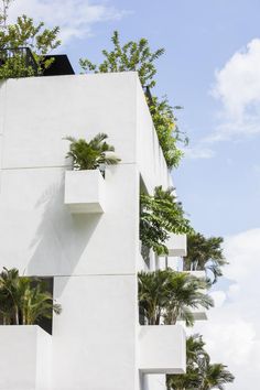 a tall white building with plants growing out of it