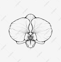 a black and white drawing of a flower