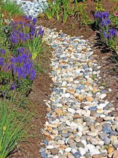 a garden path made out of rocks and gravel with purple flowers growing in the background