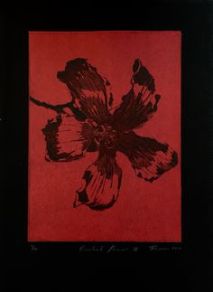 a black and red flower on a red background