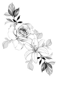 black and white drawing of flowers on a white background