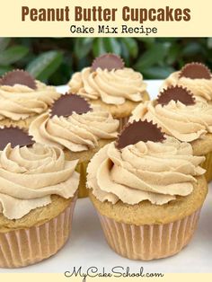 cupcakes with peanut butter frosting and chocolate chips on top are sitting on a white plate