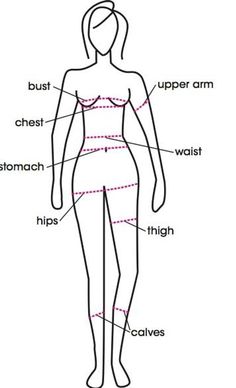 the anatomy of a woman's body and its major parts, labeled in red