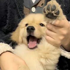 a person holding a dog's paw up to it's face with its mouth open