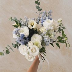 a bouquet of white and blue flowers in someone's hand on a beige background