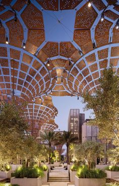 an outdoor area with many trees and plants on the ground, under a wooden structure