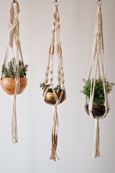 three macrame plant hangers with plants in them