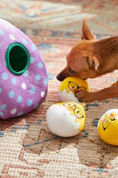 a dog playing with some toys on the floor