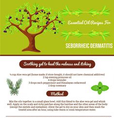 Find out the best essential oils, carrier oils, recipes, the most effective natural treatment and diet plan for seborrheic dermatitis. Ylang Ylang Essential Oil Benefits, Essential Oil Chart, Types Of Rashes, Natural Hair Remedies, Doterra Oil, Immune Booster, Essential Oil Blends Recipes, Essential Oil Benefits, Evening Primrose Oil