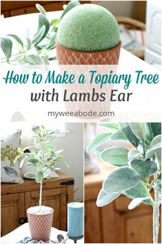 how to make a topiary tree with lambs ear