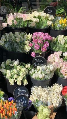 many different types of flowers in black buckets