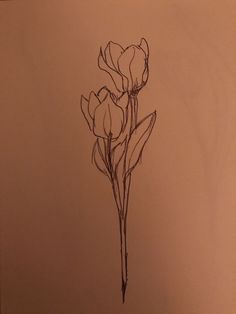 a drawing of three flowers on a sheet of paper