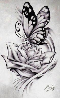 a drawing of a butterfly on top of a rose