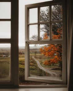 an open window looking out onto a country road and tree with orange leaves on it